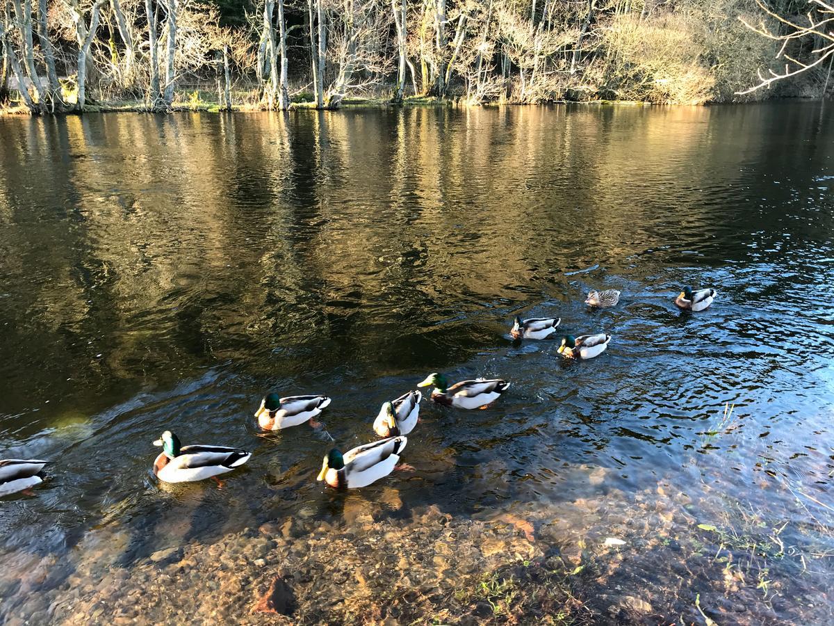 Waterfoot Park Hotel Pooley Bridge Bagian luar foto